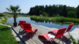 Ein Schwimmteich bzw. Naturpool im eigenen garten