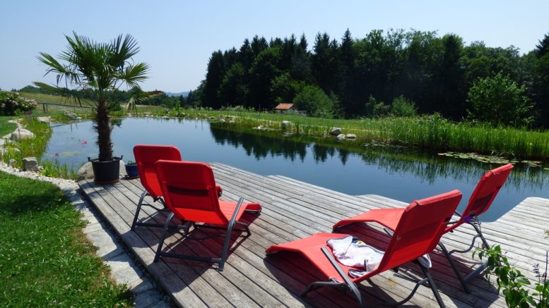 Ein Schwimmteich bzw. Naturpool im eigenen garten