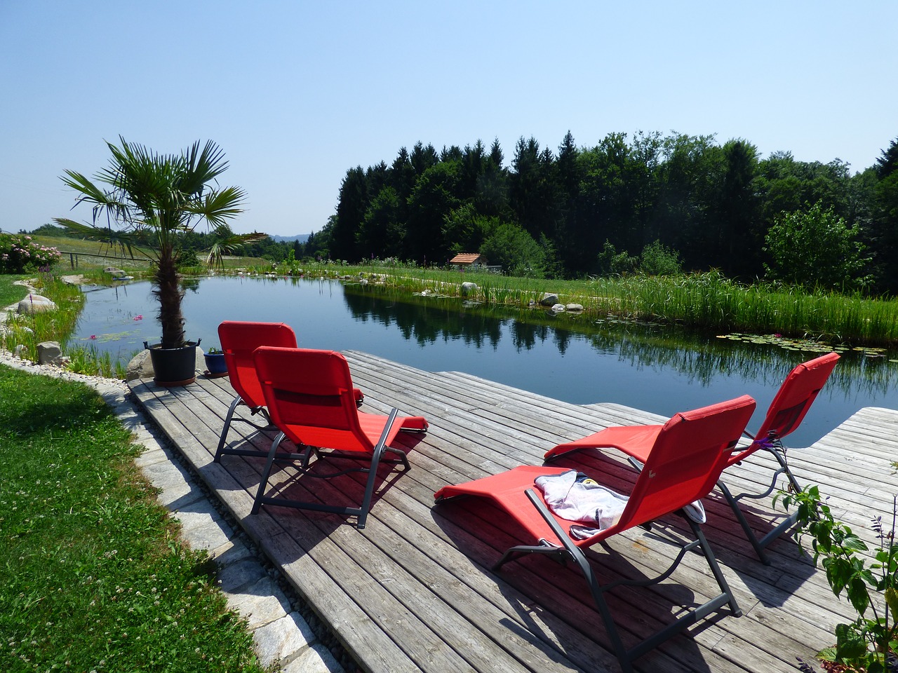 Ein Schwimmteich bzw. Naturpool im eigenen garten