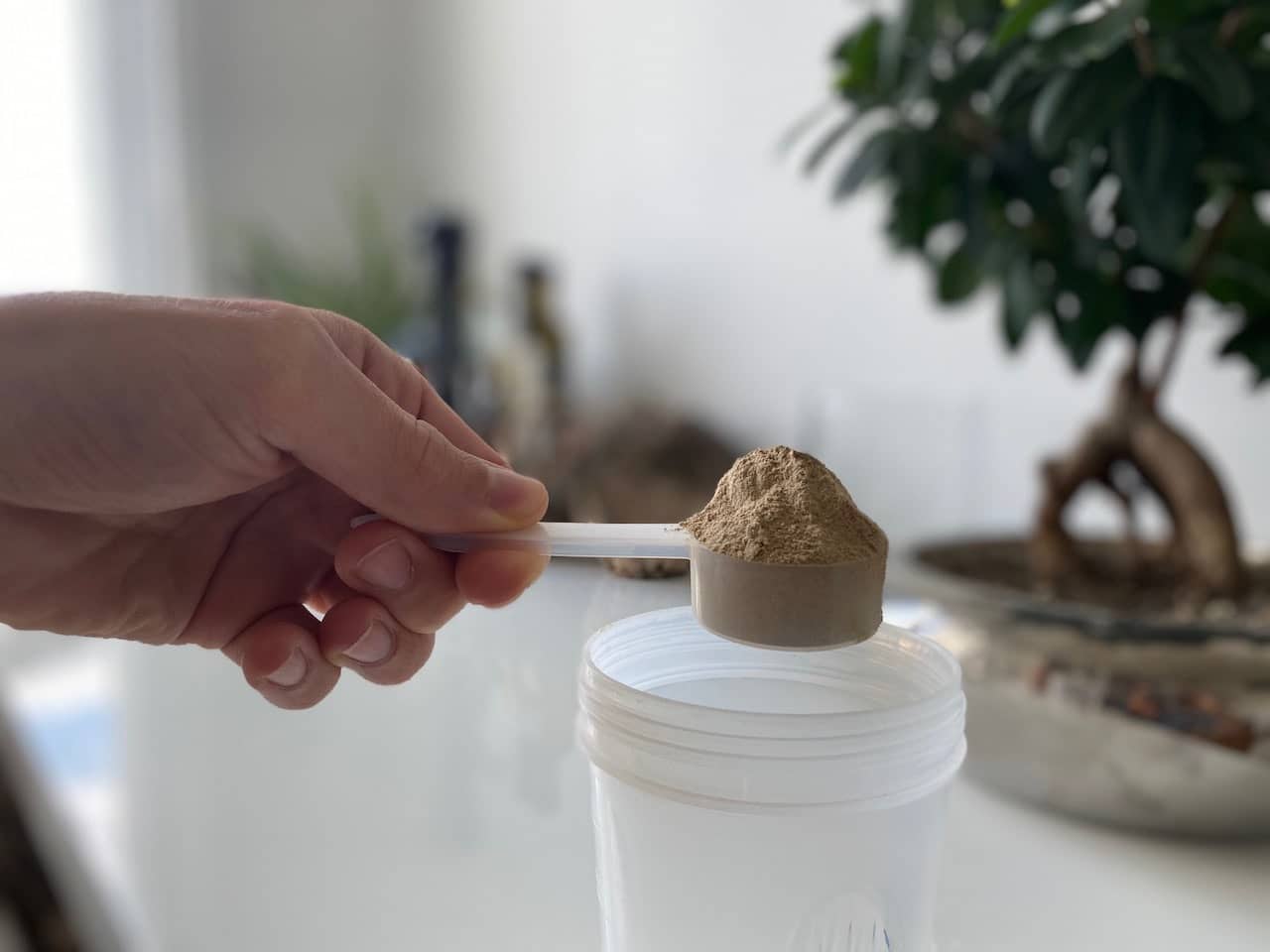 Mit Proteinpulver Shakes selber mixen